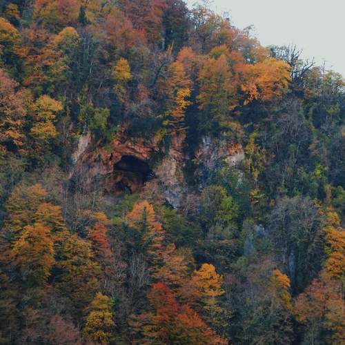 Photo #6540312