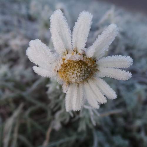 Photo #6540340