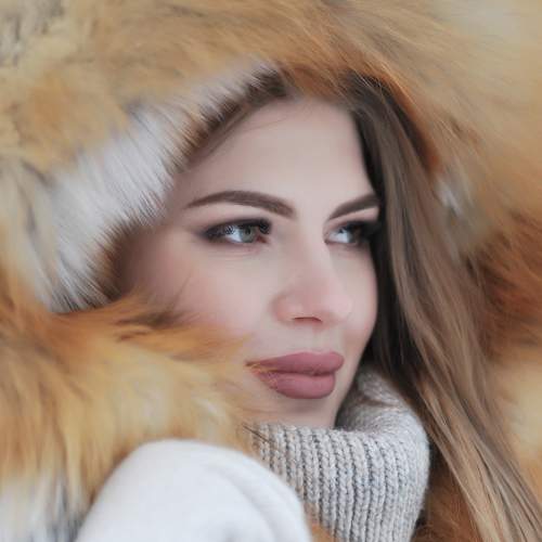 Photo #6540441