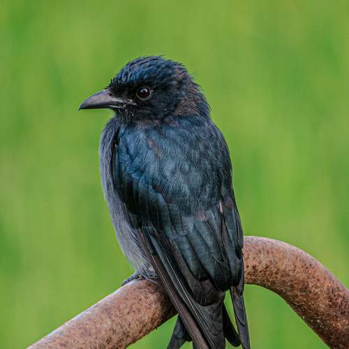 Photo #6540442