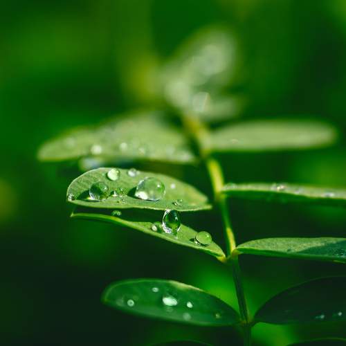 Photo #6540885