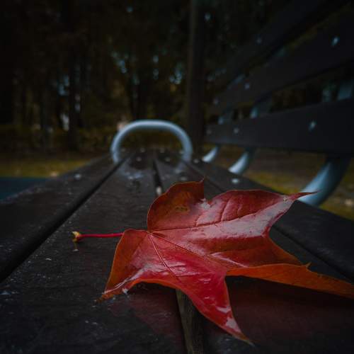 Photo #6541558