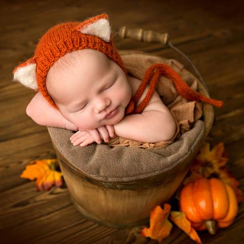 Фотография #6541808