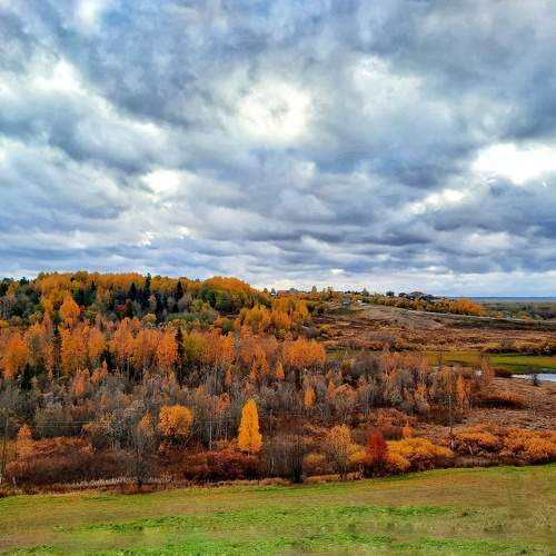 Photo #6541915