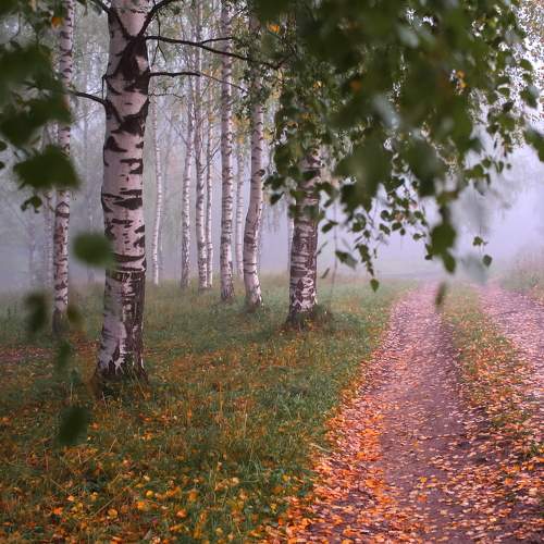 Photo #6541922