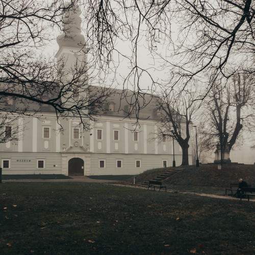 Photo #6542050