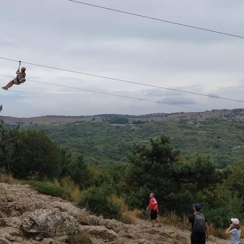 Photo #6542084