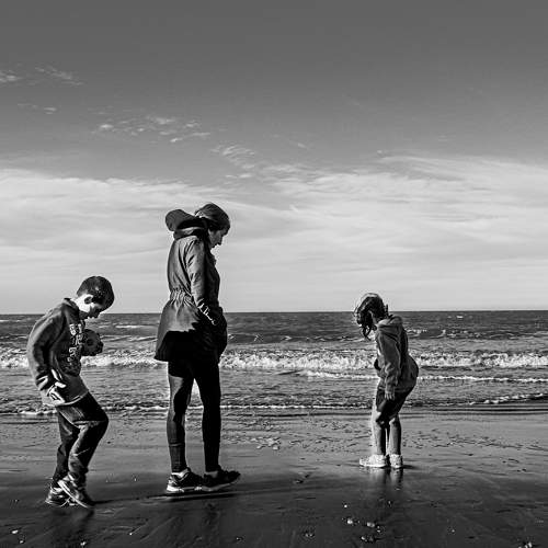 Photo #6542108