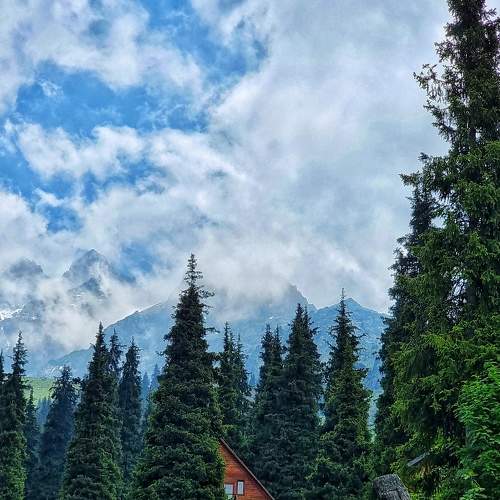 Photo #6542375