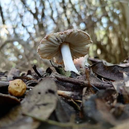 Photo #6542571