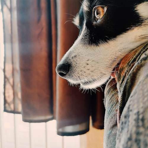 Photo #6542574