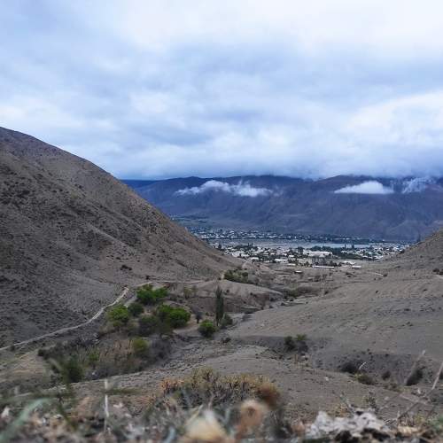 Photo #6542647