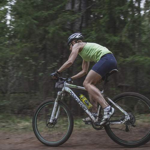 Photo #6542832