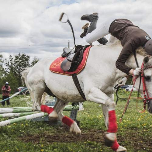 Photo #6542833
