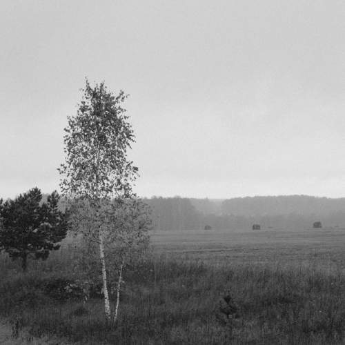 Photo #6543061