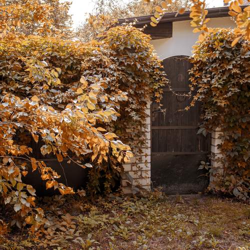 Photo #6543242