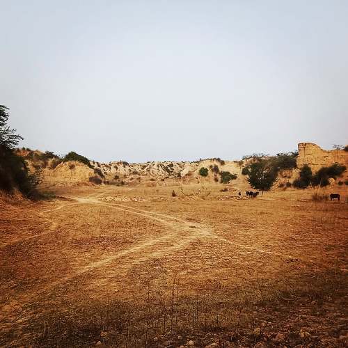 Photo #6543427