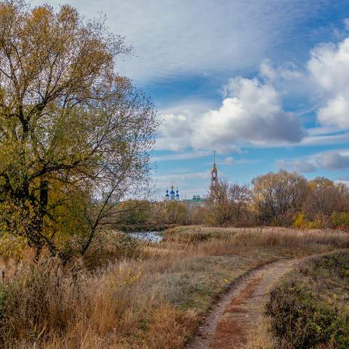 Photo #6543617