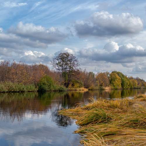 Photo #6543621