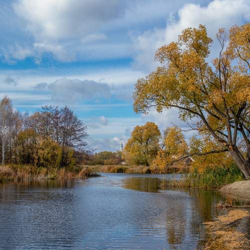 Photo #6543623