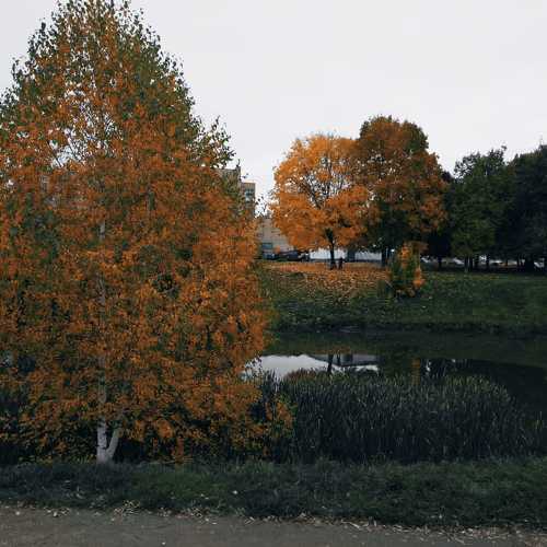 Photo #6543724