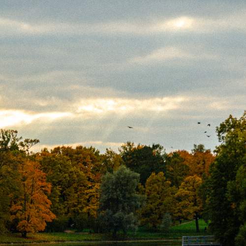 Photo #6543740