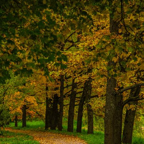Photo #6543745