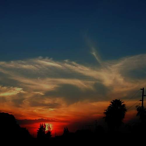 Photo #6544026