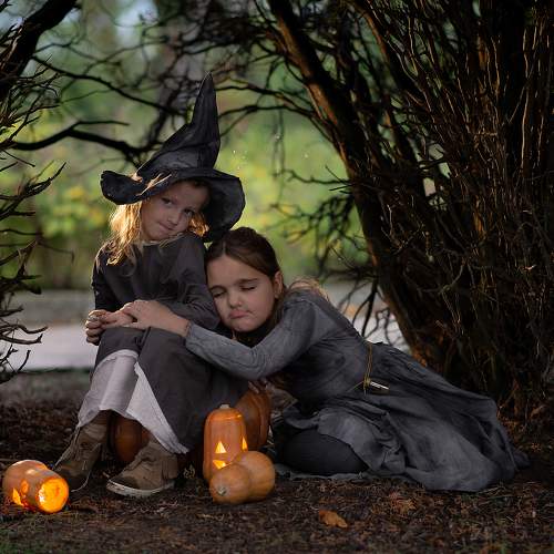 Photo #6544045