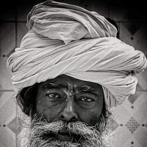Photo #6544129
