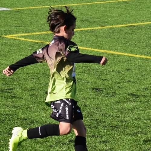 Photo #6544522