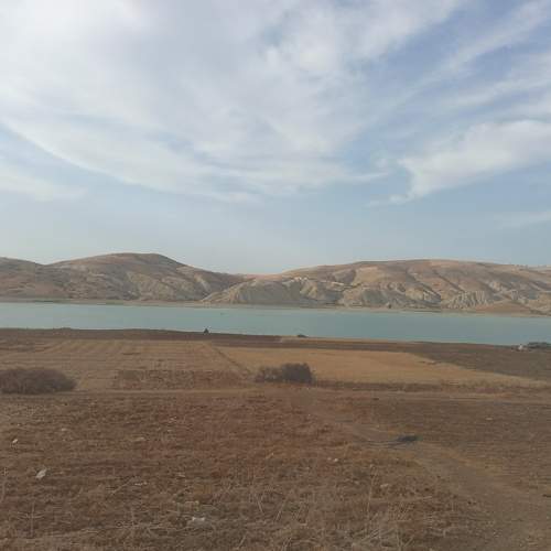 Photo #6544589
