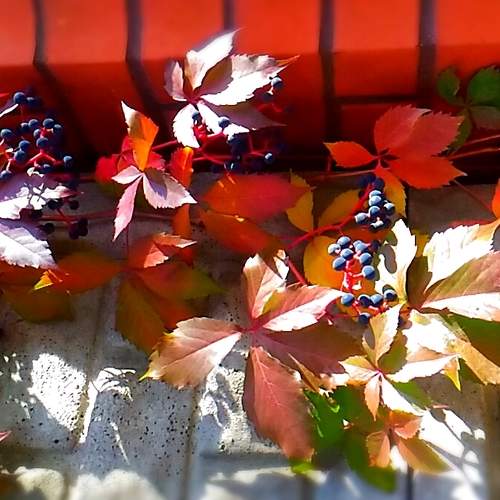 Photo #6544705