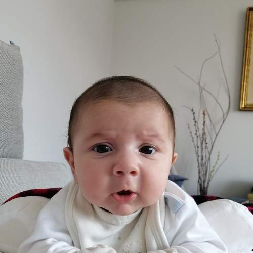 Photo #6544744