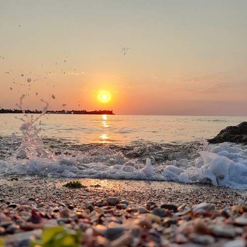Photo #6544836