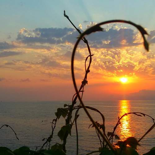 Photo #6544920