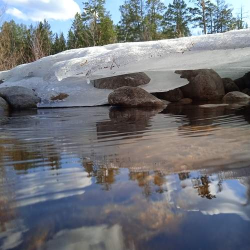 Photo #6545188