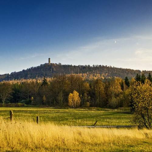 Photo #6545252