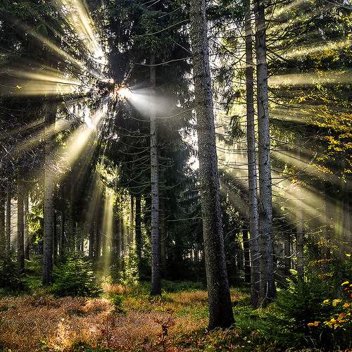 Photo #6545257