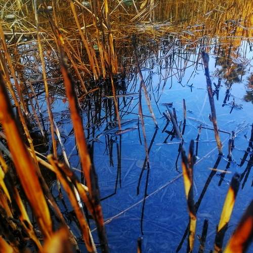 Photo #6545461