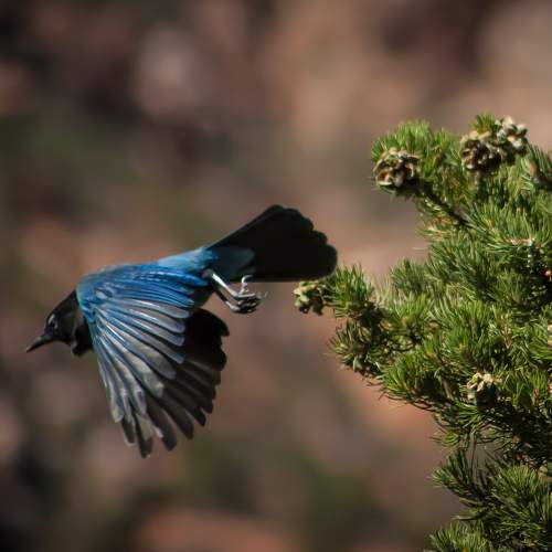 Photo #6545596