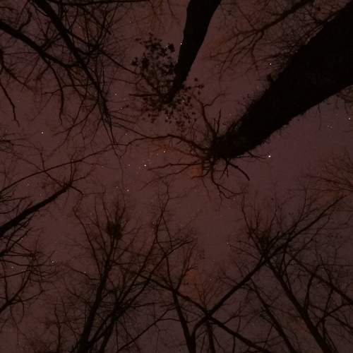 Photo #6545762