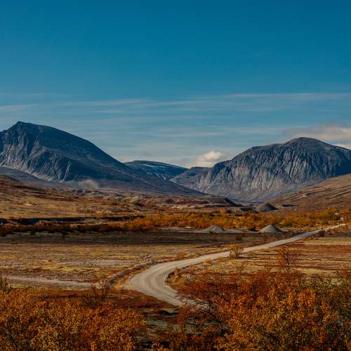Photo #6546456