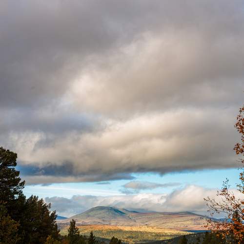 Photo #6546458