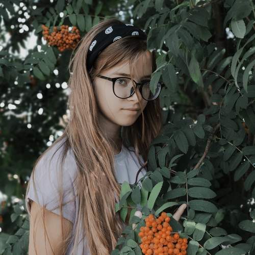 Photo #6546633