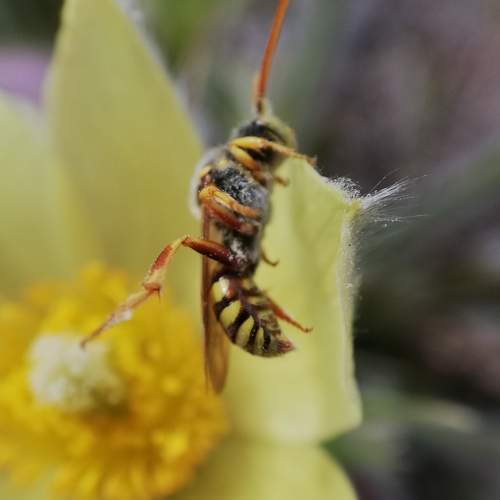 Photo #6546735