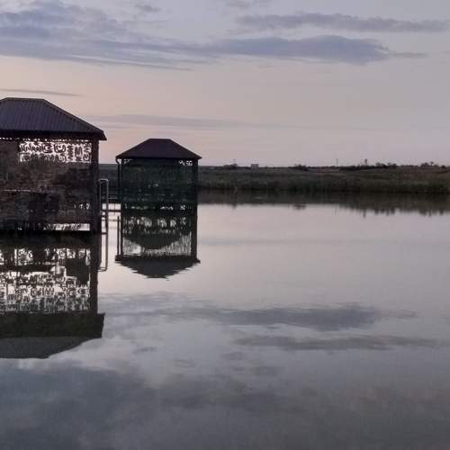 Photo #6546797