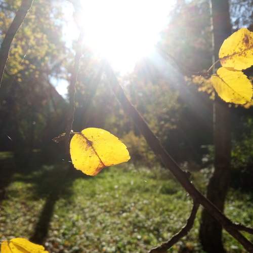 Photo #6546896