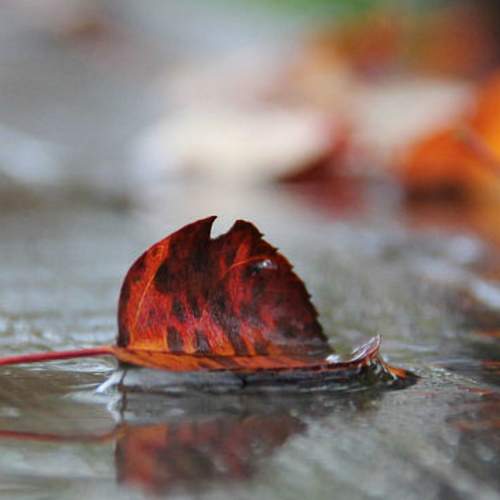 Photo #6547037