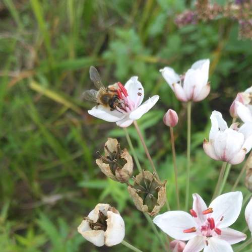 Photo #6547057